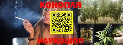 крисы Пыть-Ях